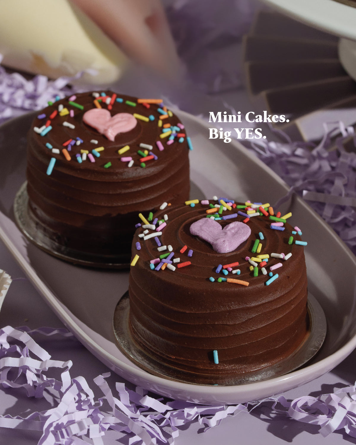 Solo Cakes (3" Cakes)